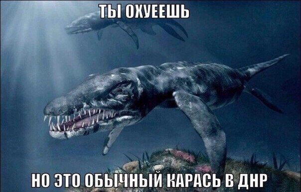 На злобу дня