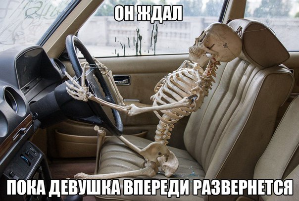 Подборка приколов на любой вкус!