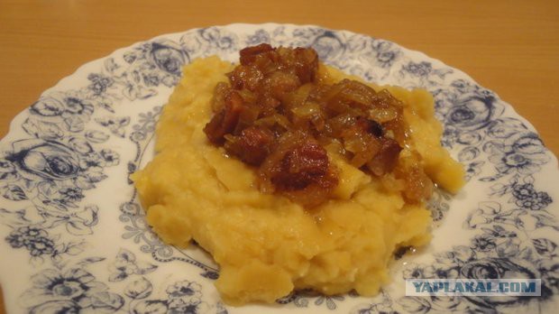 нищебродская кашка, музыкальная