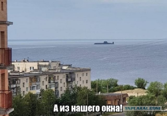 Прикольные картинки