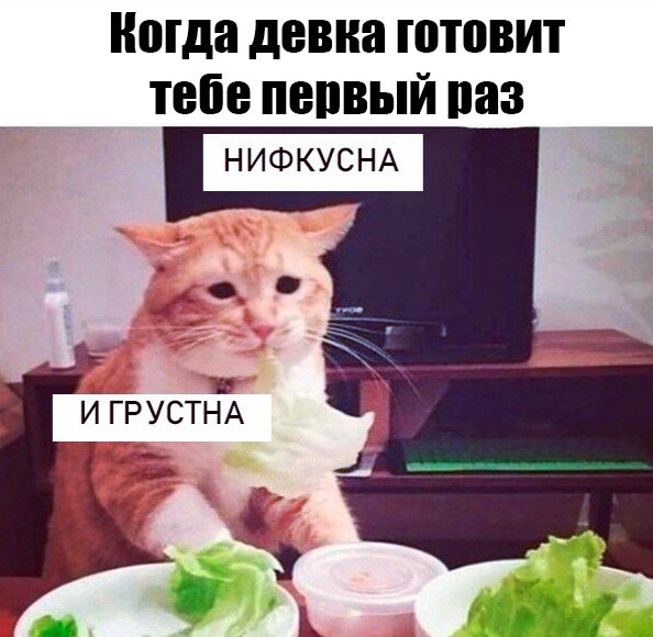 Немного картинок на сегодня