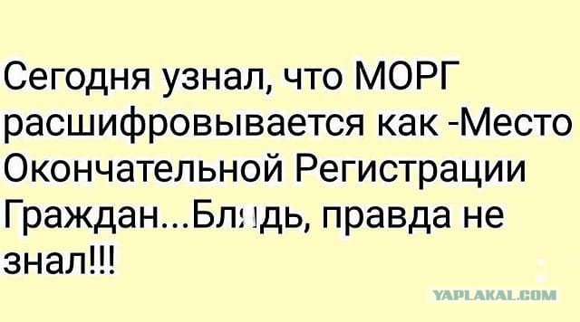 Смешные комментарии из социальных сетей 02.11.2018