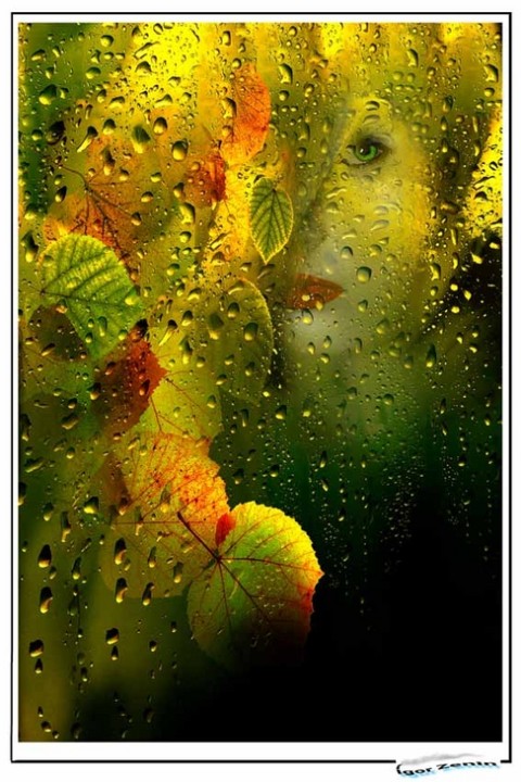 Красивые работы (c) IGOR ZENIN
