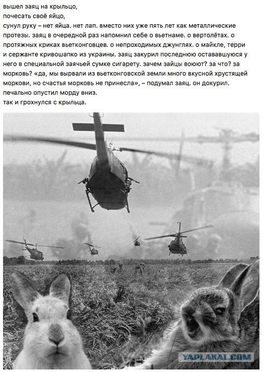 Если вы понимаете, о чем я