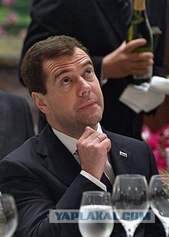 Дорофей убежал! Ещё один всё понял...
