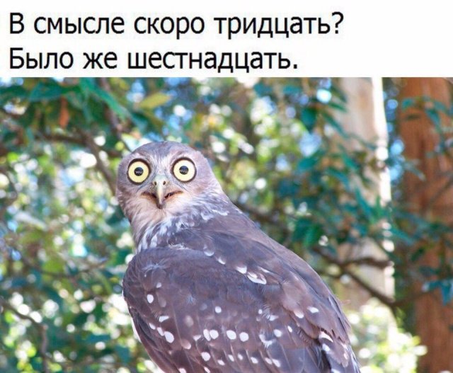 Фото, соц-сети и картинки с надписями