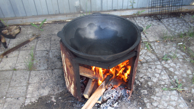 Шурпа обыкновенная, на природе