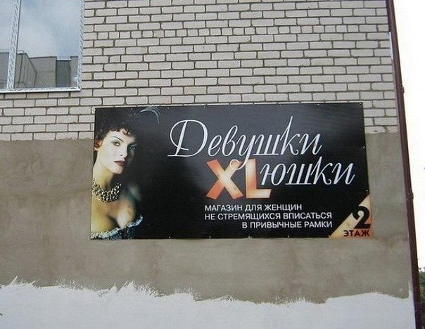 Применим физику в постели или белка и стрелка. Картинки