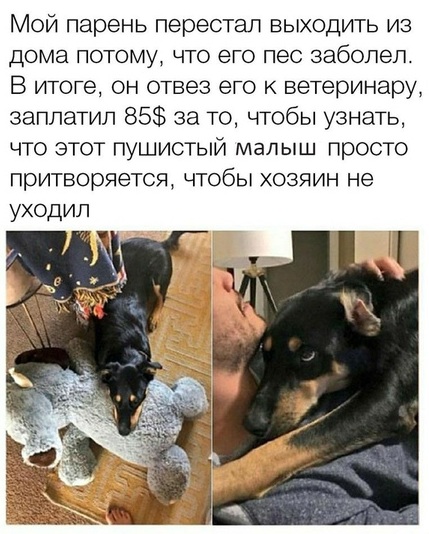 Картинок немного 25.12.19