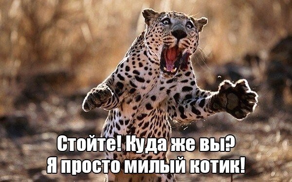 Древние мемы с ВК. Для тех кто забыл #6