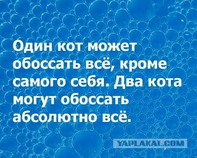 Дезинфекция мозга