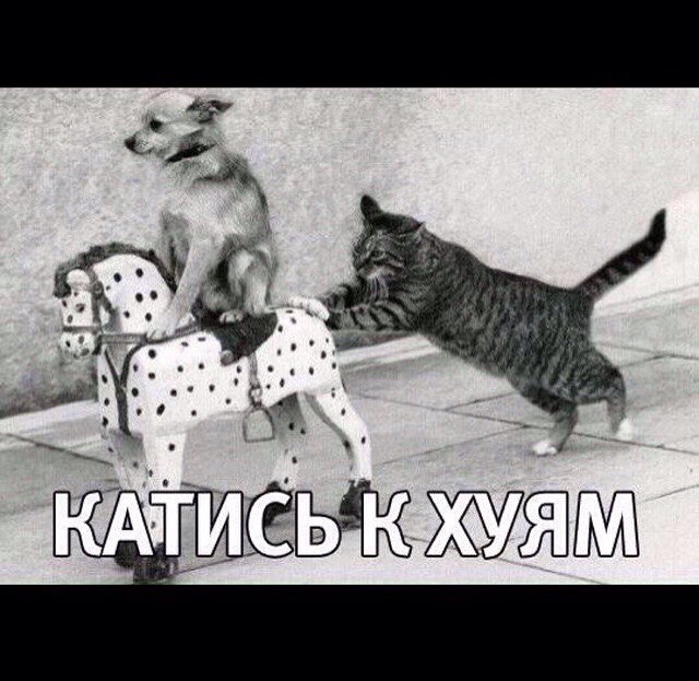 Бузова иммигрирует