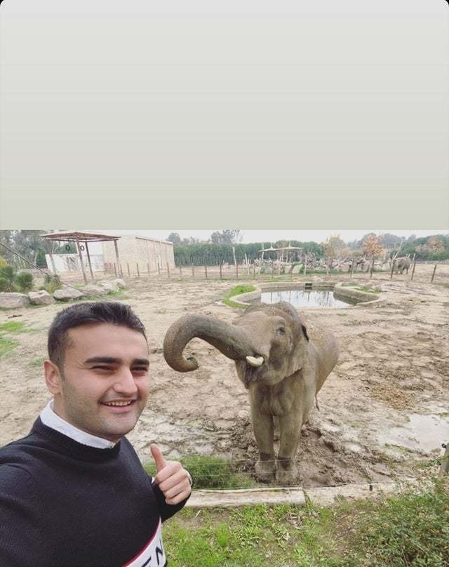 По многочисленным просьбам