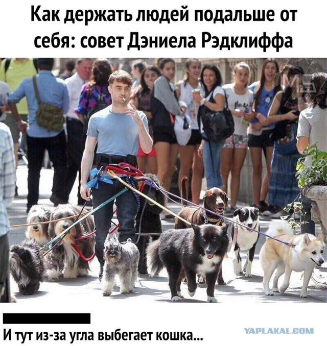 Немного картинок с текстом и без