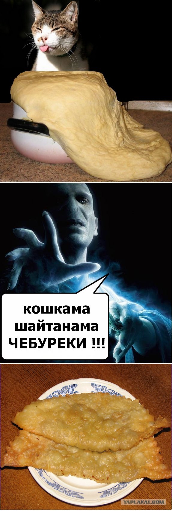 Ярость Волан-де-Морта