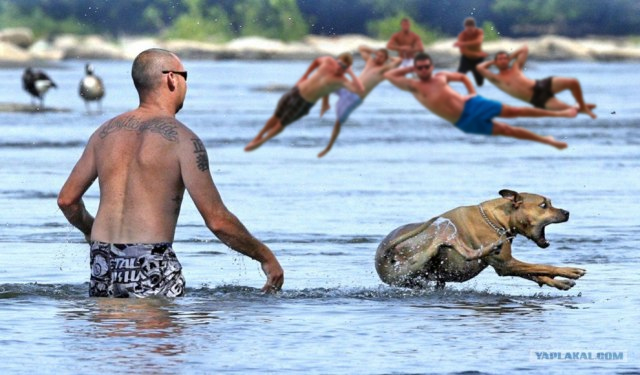 Фотожаба: Позируем креативно