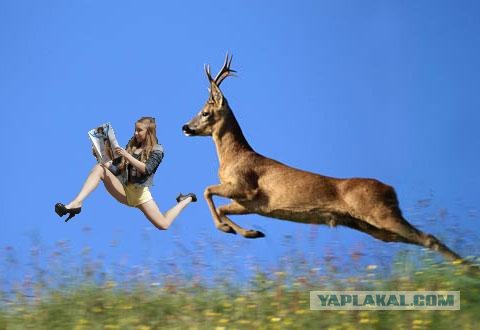 Фотожаба: Читает журнал на лету