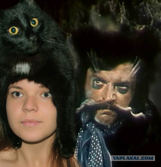 Эпичный кот