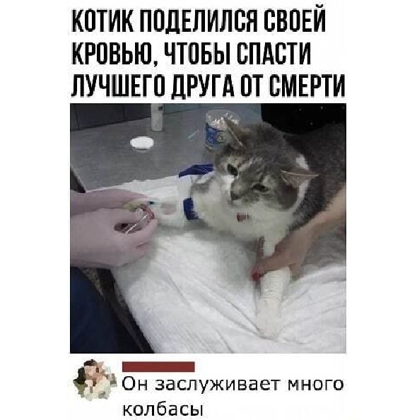 Картинки и мемы для настроения 004