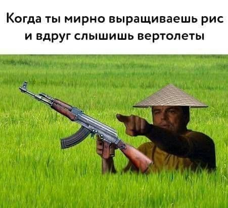 Эй вы, давно не деградировали?!