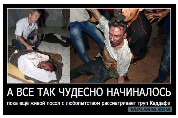 Невинность мусульман