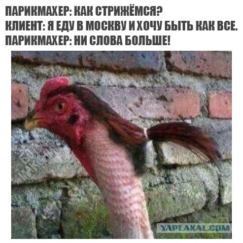 Весёлый полтишок 16.04