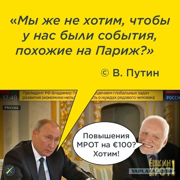 Эффективный способ борьбы с цыганами