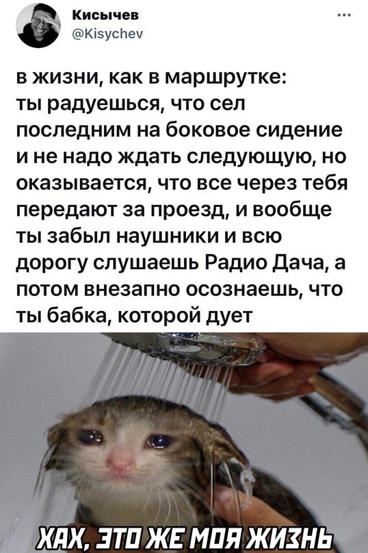 Баянисто-небаянистый юмор 09.08.21