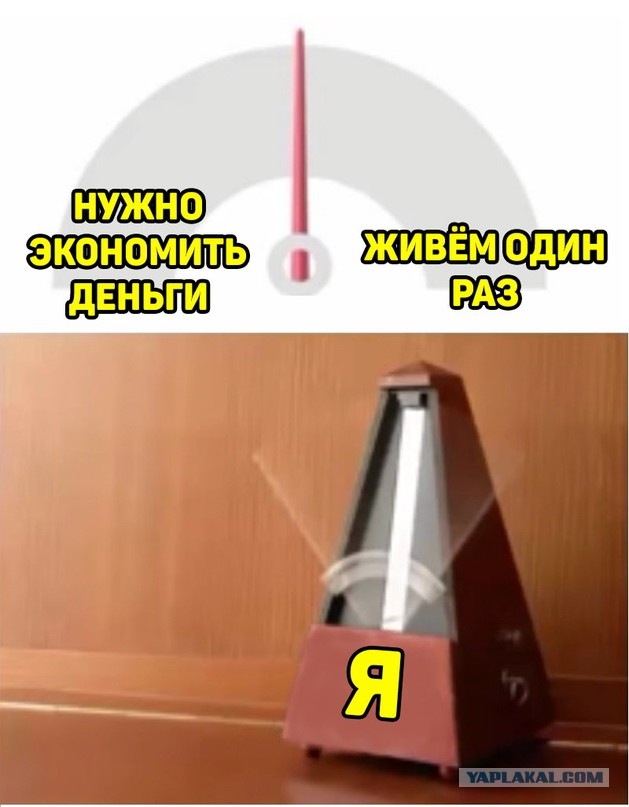 Весёлый полтишок 02.10