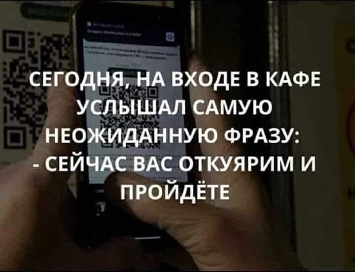 16458670.jpg