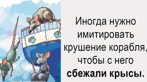 Жена пыталась перевезти мужа в Венгрию через границу Украины в багажнике "Лексуса"