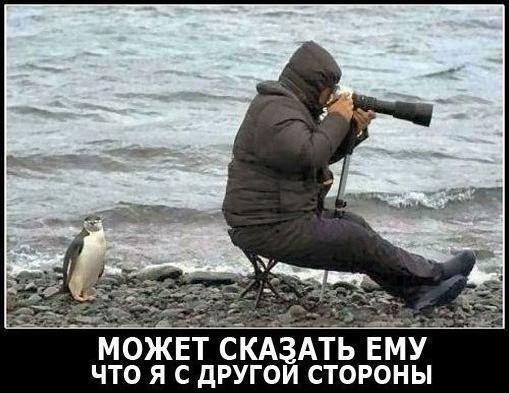 Интересные картинки