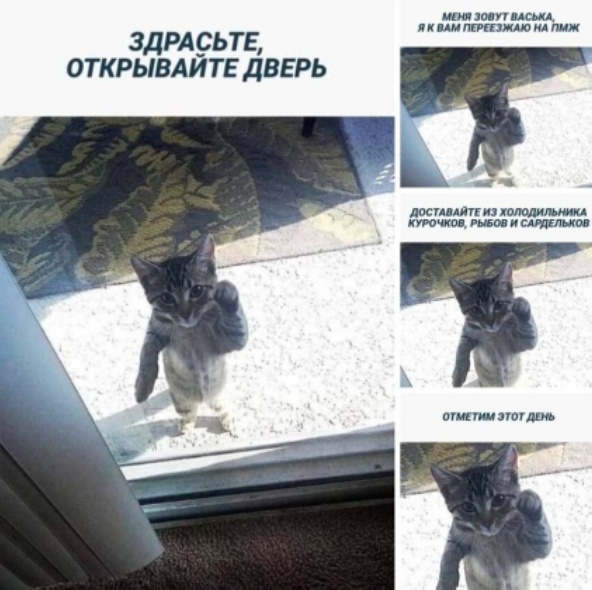 Так себе картинки 27.04.22