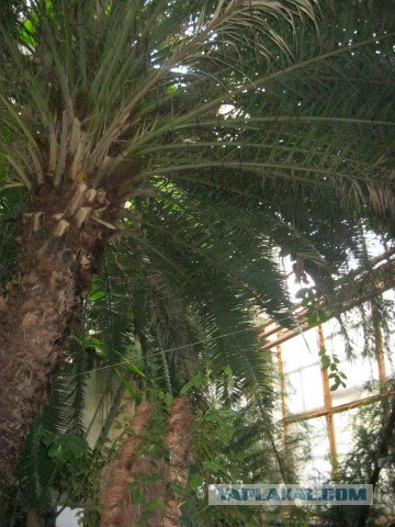 Я люблю Казань!