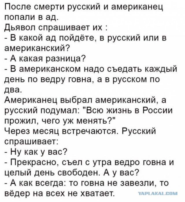 Так себе картинки 19.11.22