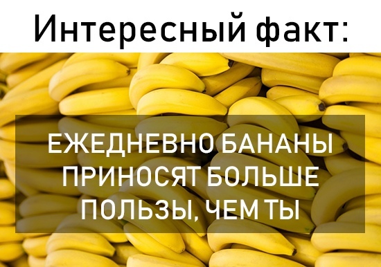 5 научных фактов, которые не укладываются в голове