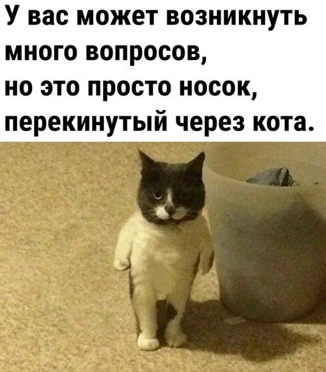 Забавные комментарии из социальных сетей (18.09.23)