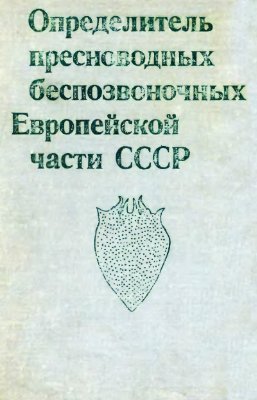 Бронзовая учительница с глобусом появилась возле школы в Верхней Пышме