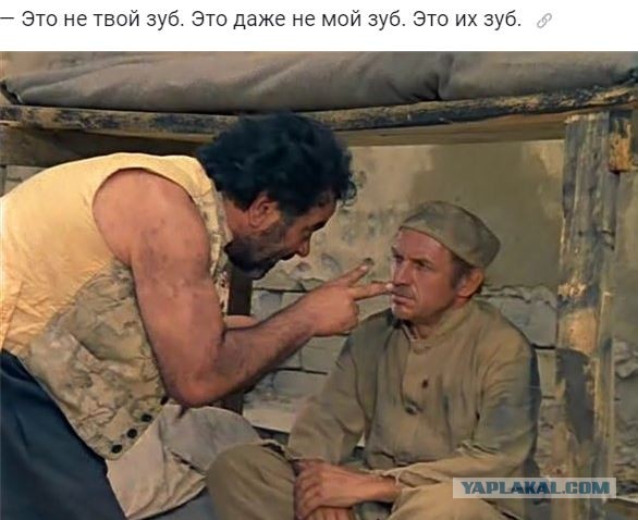 Сколько денег вы приносите государству