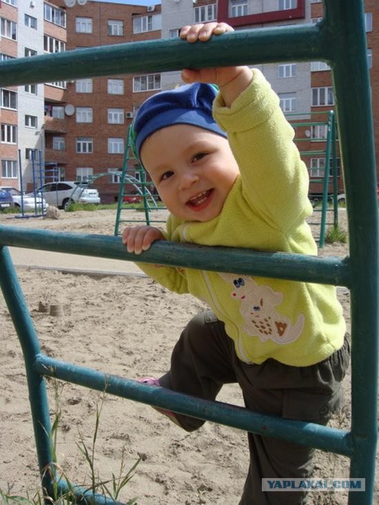 Эволюция тем на тлф