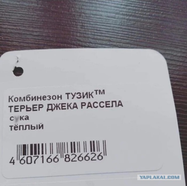 Десять пятничных картинок