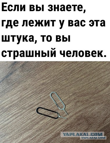 Весёлый полтишок 23.01.24