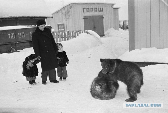 Фотографии из прошлого нашей страны - 51