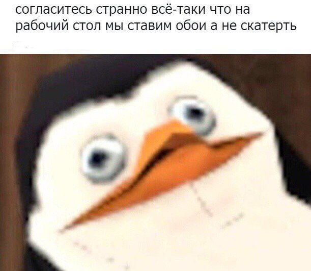 Никакие картинки и тексты