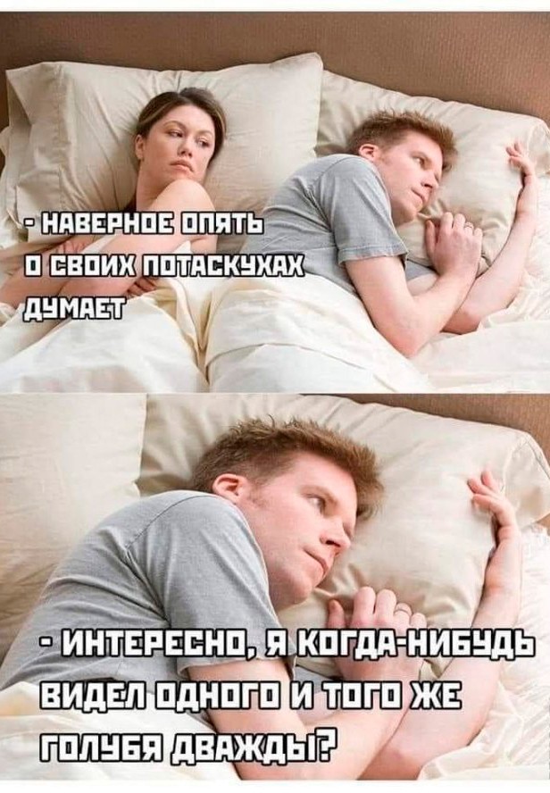 Немного забавных картинок от 11.09.2024