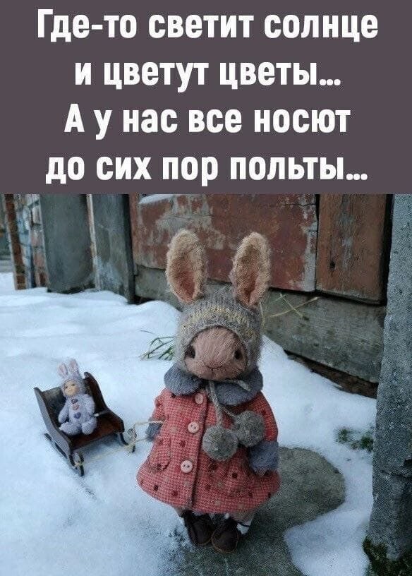 Картинки своеобразного юмора.