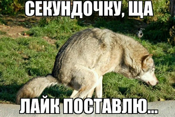 В Керчи 40 чиновников лишили премий за отказ лайкать посты мэра