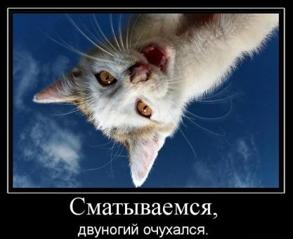 Большая подборка баянов разной степени свежести