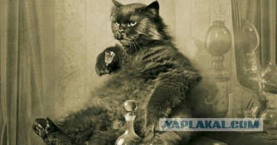 Мужчины, вы зачем игнорируете красивых женщин?
