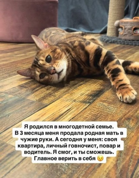 Картинки для деградации 224 (разной степени свежести)